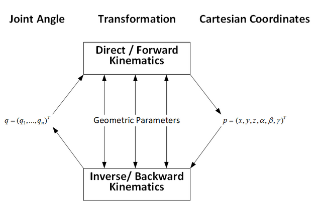A representation of forward and inverse kinematics.